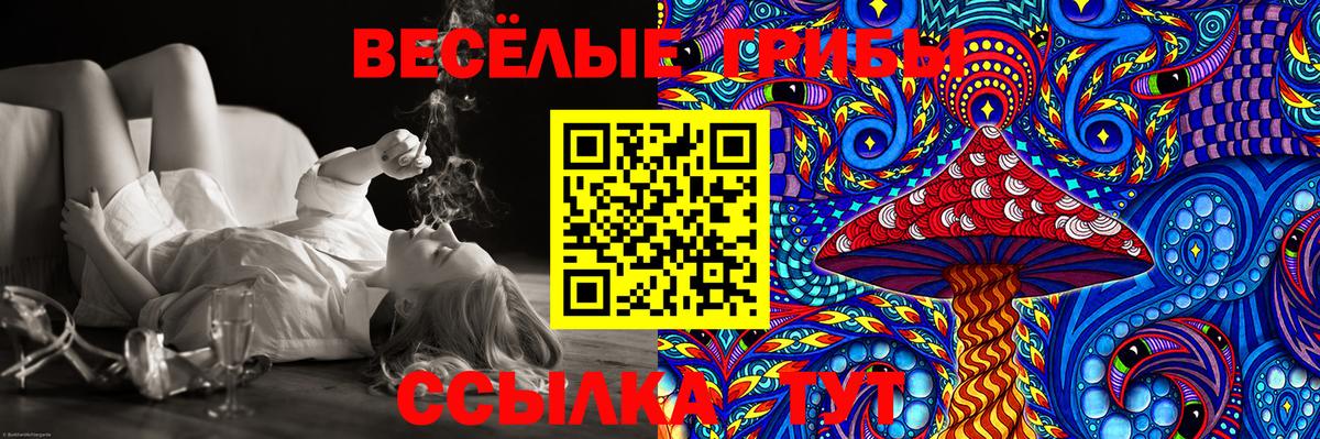 Галлюциногенные грибы Cubensis Мыски